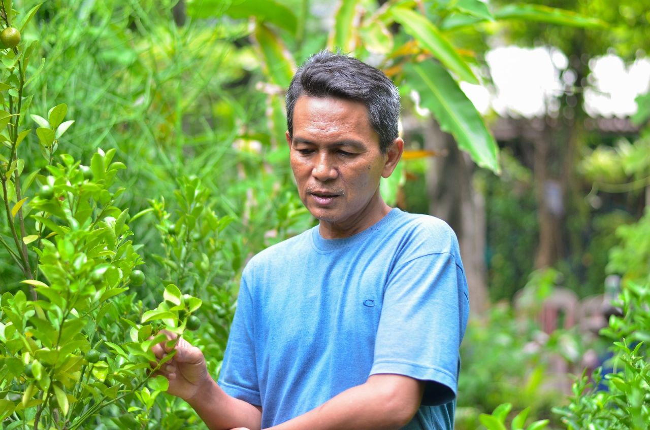 Kampung Herbal Nginden Jangkungan. Foto: Fuday
